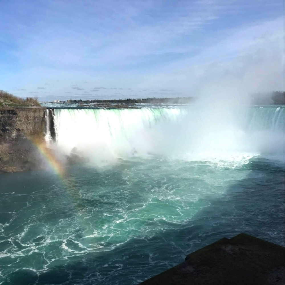 Meet your Posher, Gardenia